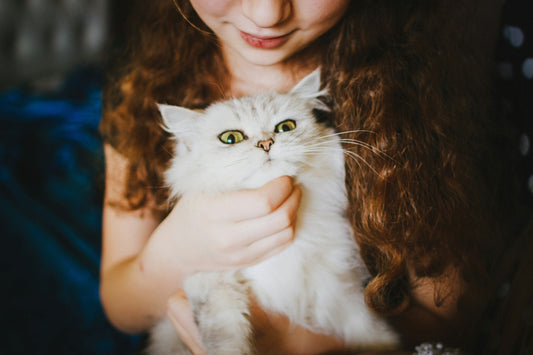 Relato 1. Amor y compasión, para el gatito