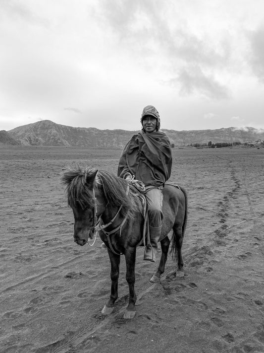 Relato 89. El domador de caballo