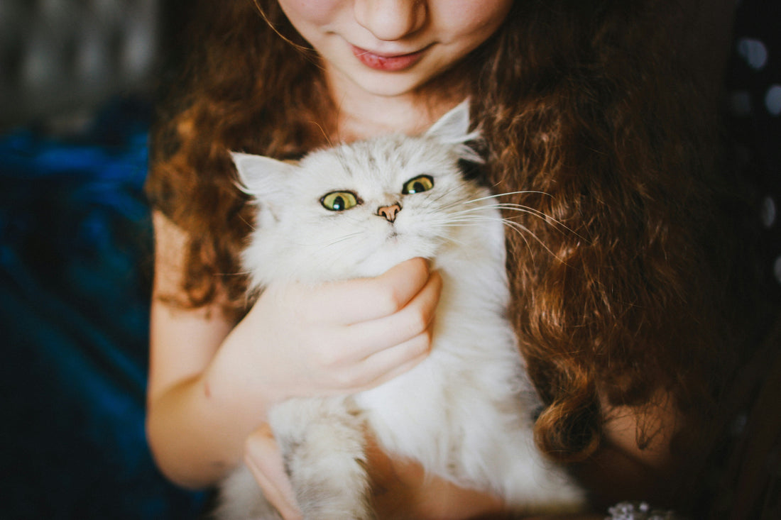 Relato 1. Amor y compasión, para el gatito